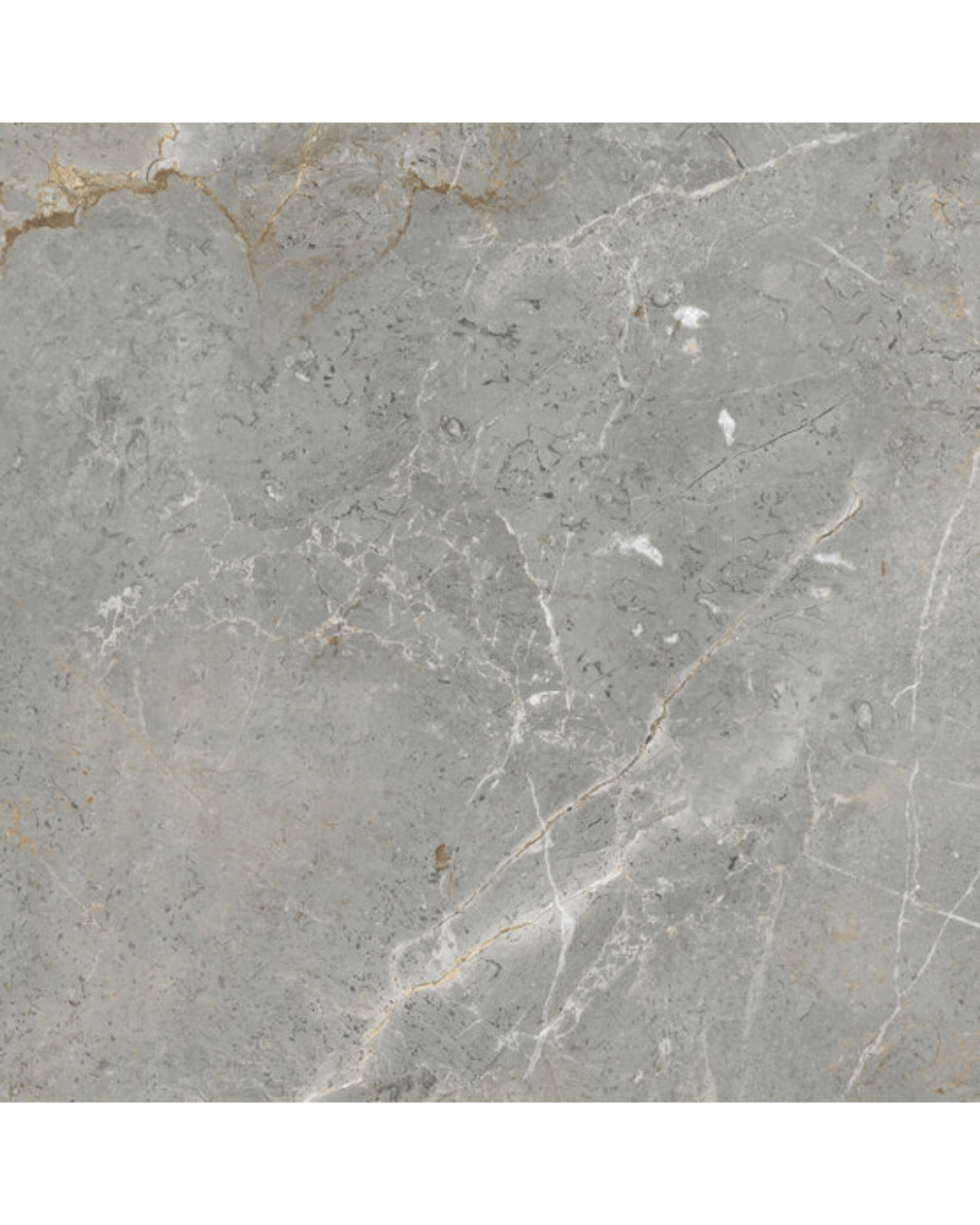 Carrelage Augustus Grey 60x60