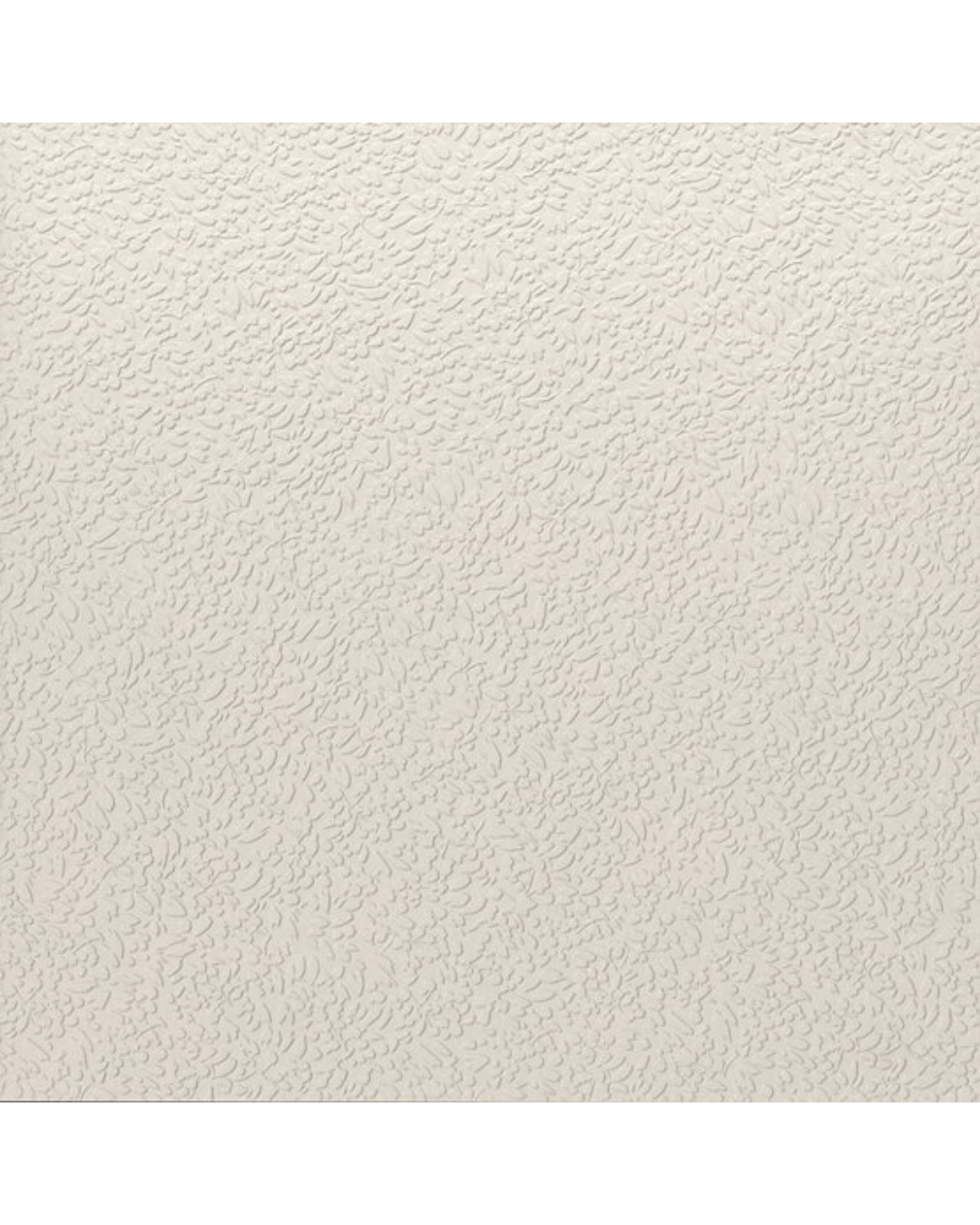 Carrelage Nisus Neve 120x120