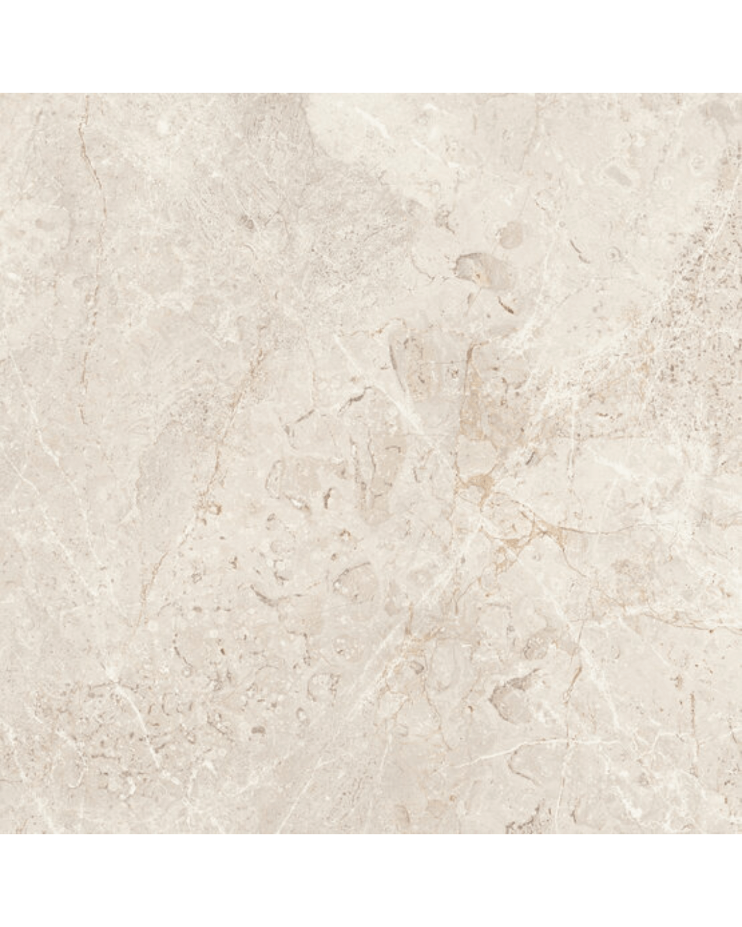 Carrelage Augustus Cream 60x60