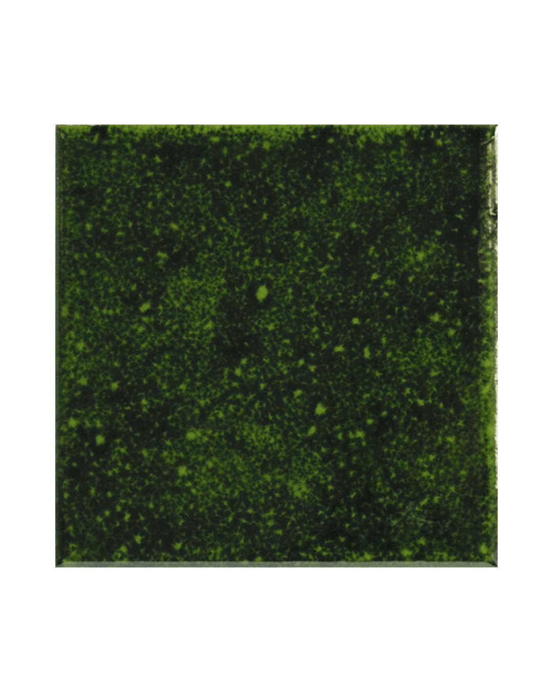 Carrelage Genuine Emerald 10x10
