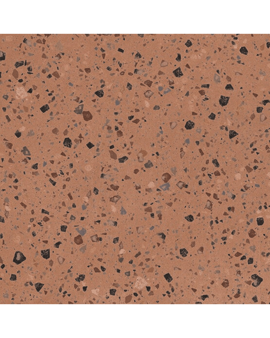 COCCIO Coral 60x60