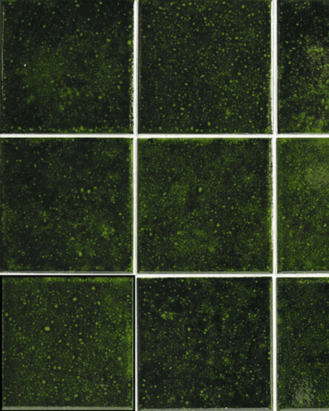 Carrelage Genuine Emerald 10x10