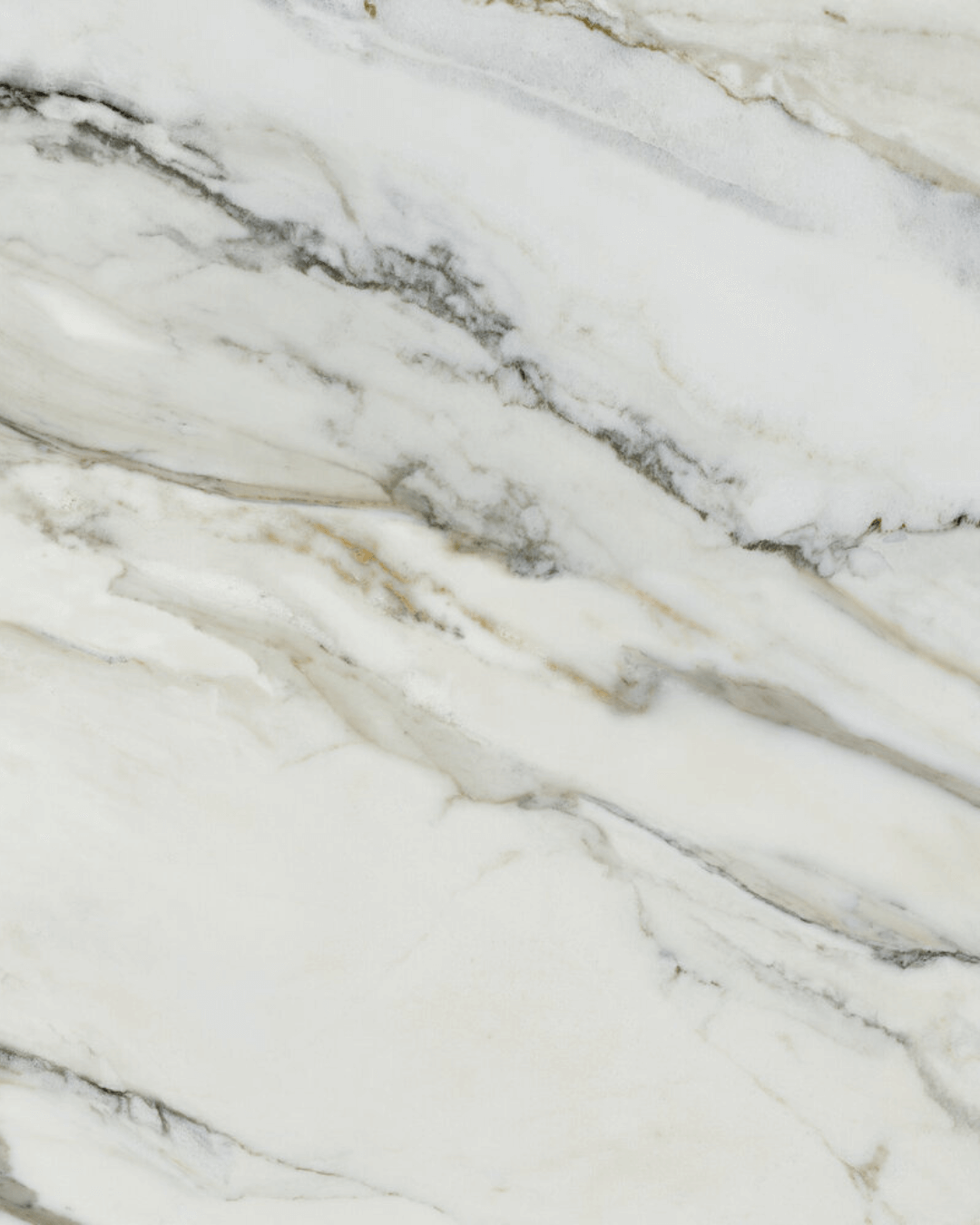 Arabescato Corchia Mat 60x120 - Carrelage marbre blanc ivoire finition mate bords rectifiés