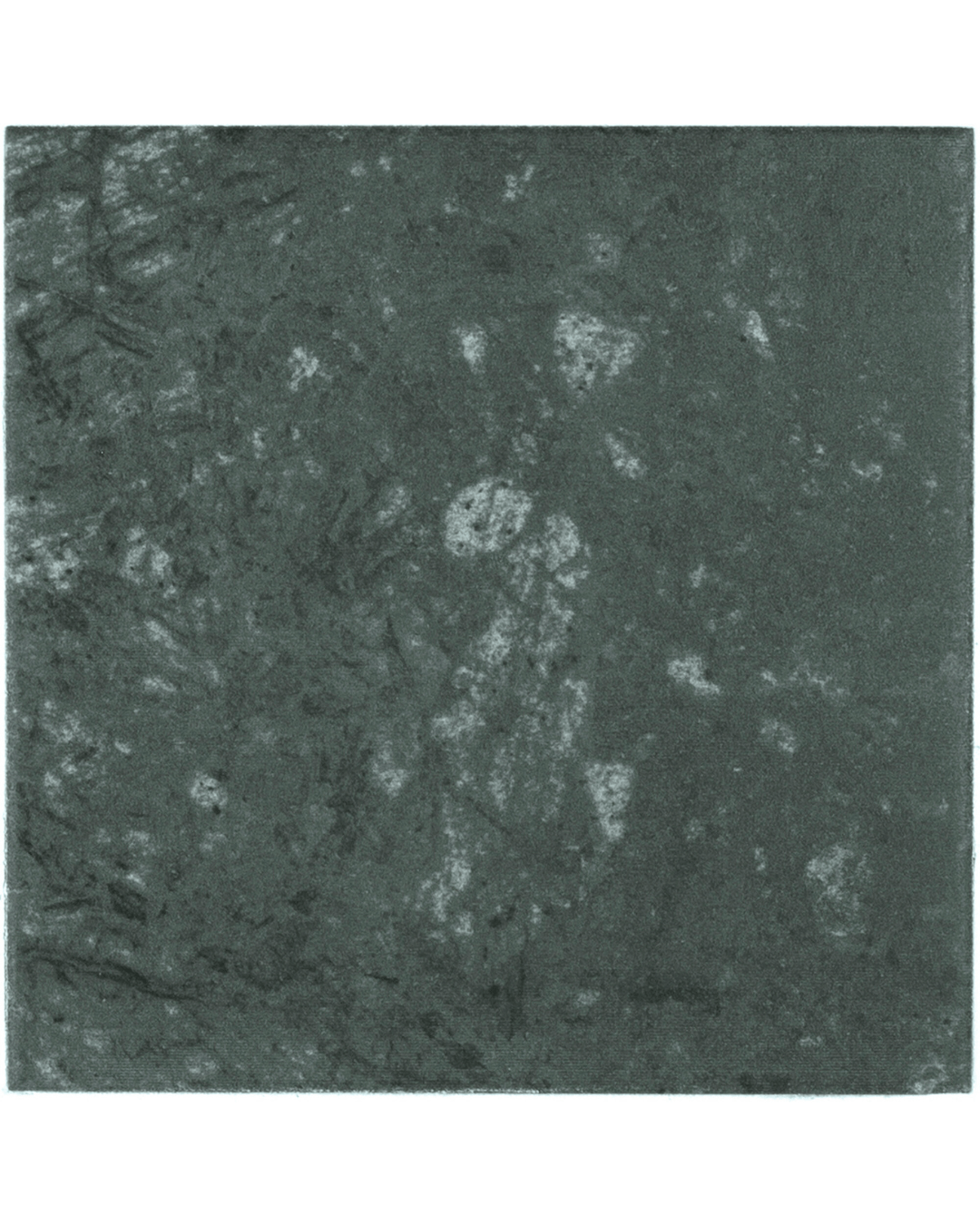 Selva 15x15 - Carrelage pierre marbre vert mat mural et sol