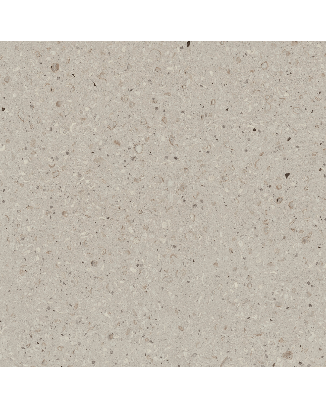 Abyss Sand 60x60 - Carrelage beige pierre pour sols et murs bords recitifiés