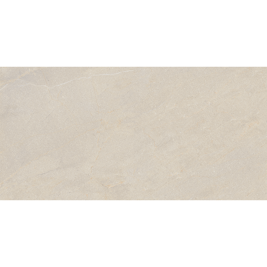 Terra Beige 60x120