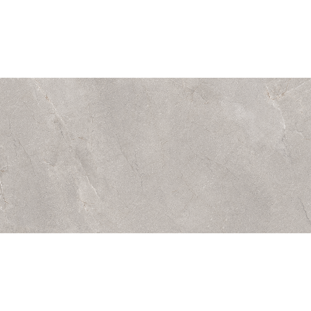 Terra Gris 60x120