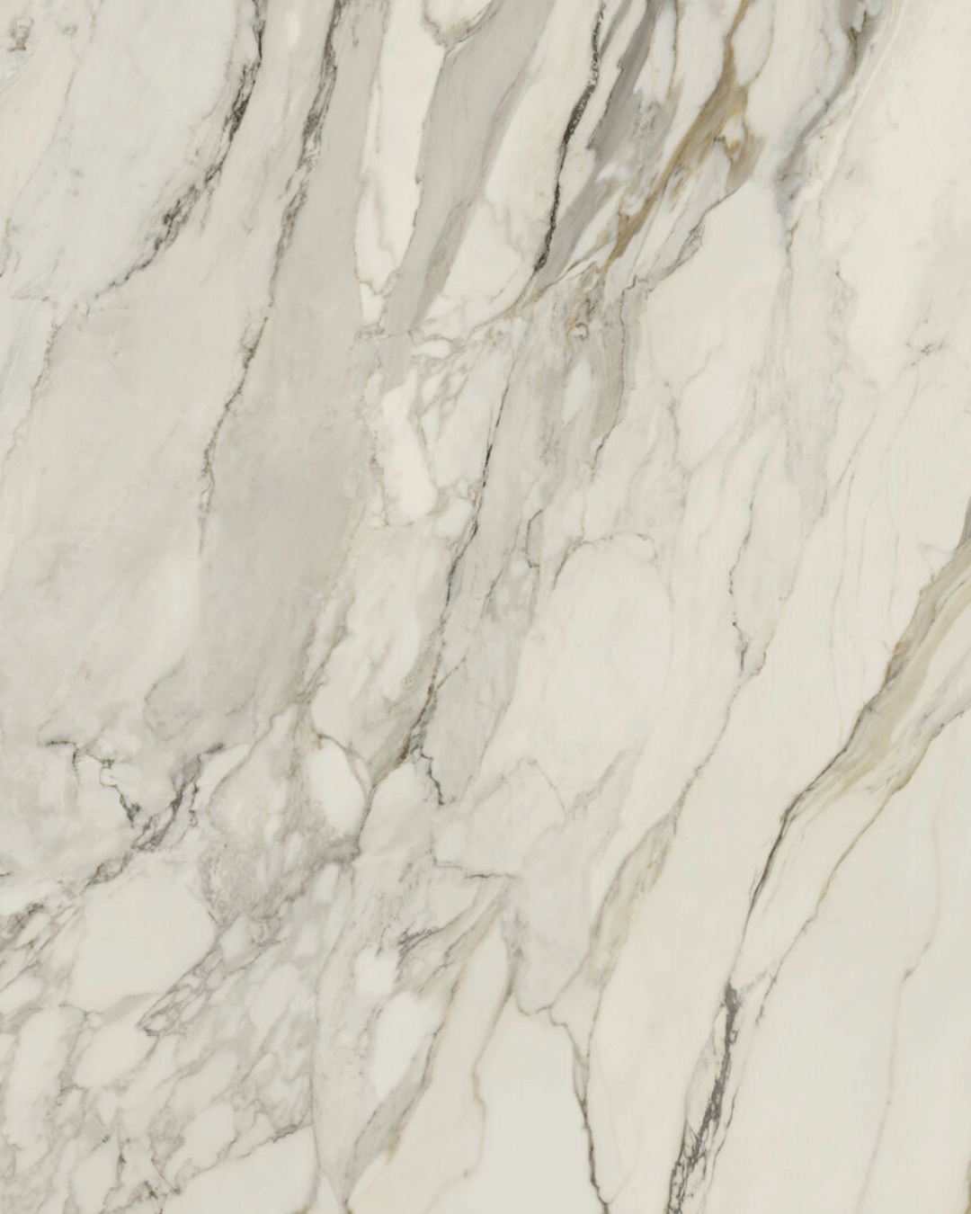 Grand Format Arabescato Corchia Honed 120x278 - Carrelage marbre blanc ivoire laqué mat bords rectifiés