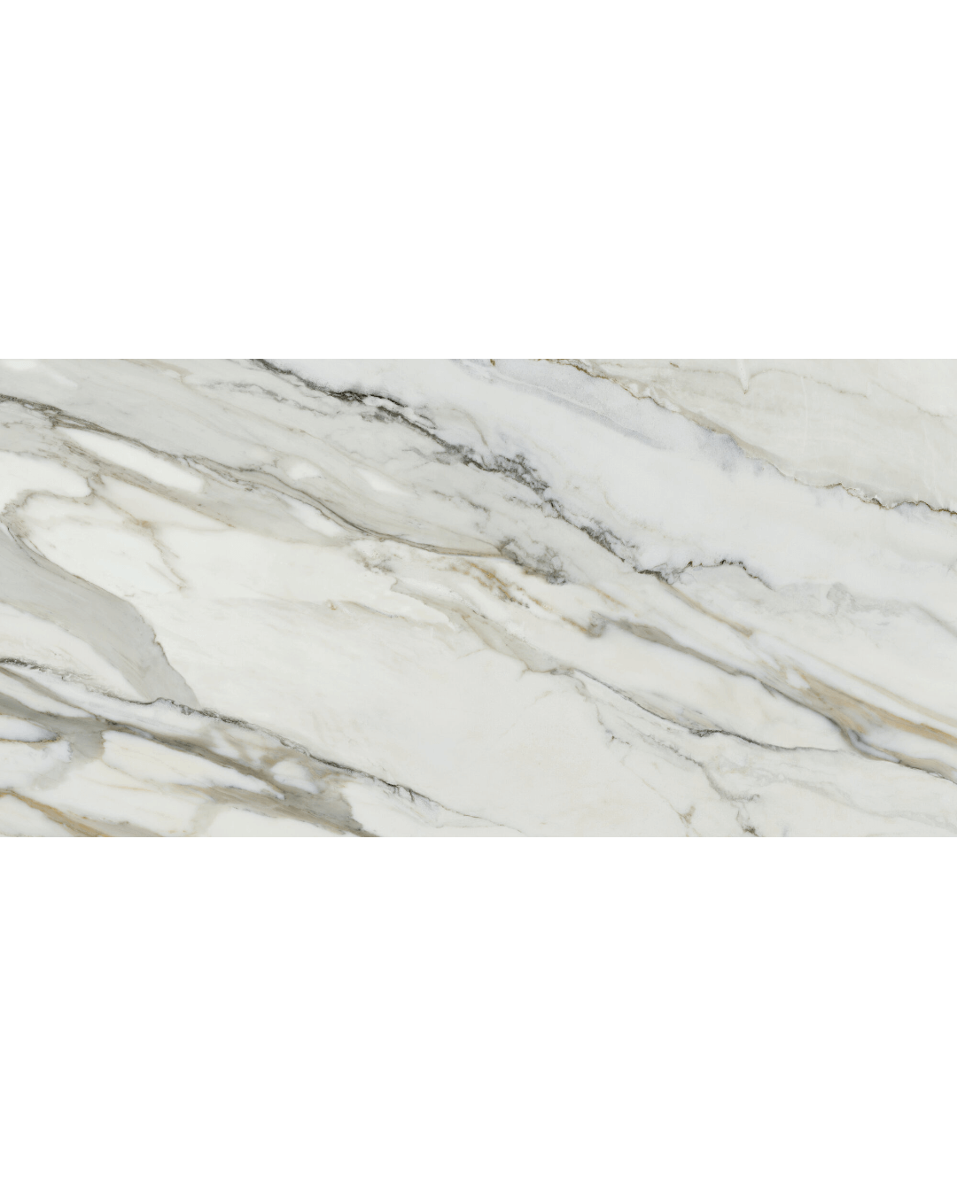 Arabescato Corchia Mat 60x120 - Carrelage marbre blanc ivoire finition mate bords rectifiés