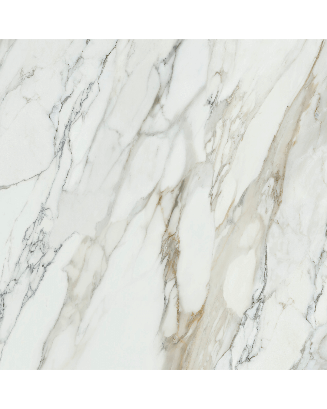 Arabescato Corchia Mat 90x90 - Carrelage marbre blanc ivoire finition mate bords rectifiés