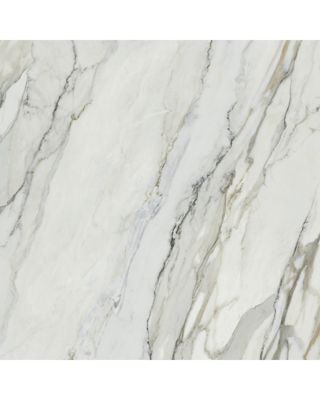 Arabescato Corchia Pol 120x120 - Carrelage marbre ivoire grain poli effet miroir bords rectifiés