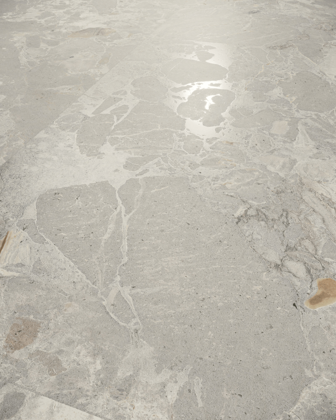Aurora Taupe 60x120 - Carrelage taupe marbre et pierre mural et sol bords rectifiés
