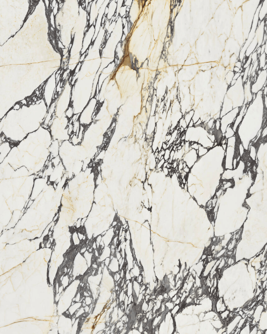 Grand Format Calacatta Corchia Gold Pol 120×280 - Carrelage marbre blanc poli effet miroir bords rectifiés