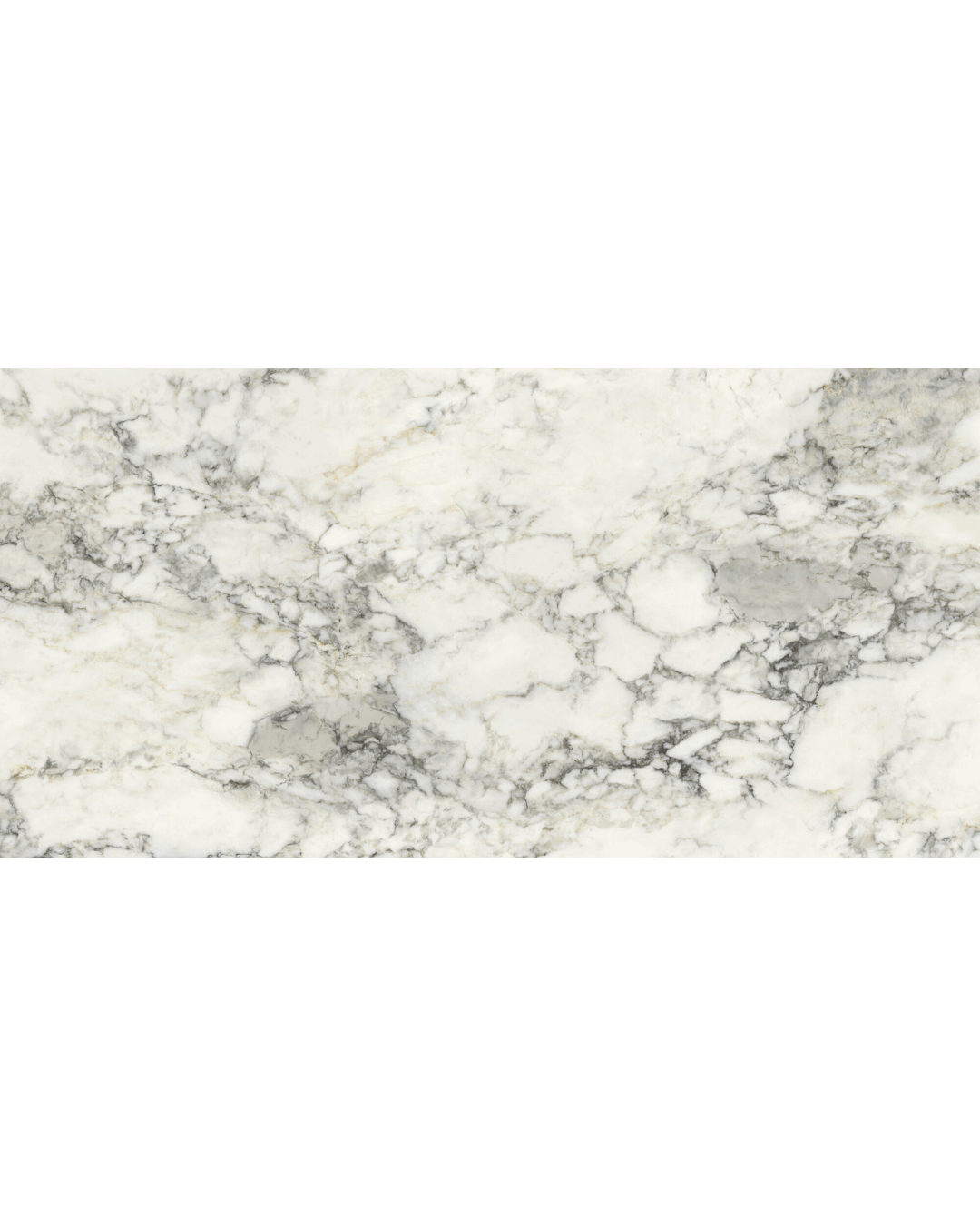 Volterra White Matt 60x120 - Carrelage marbre blanc veiné gris finition mate bords rectifiés